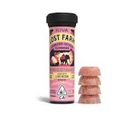 [LOST FARM] EDIBLE - 100MG - STRAWBERRY LEMONADE SUPER LEMON HAZE GUMMIES (S)