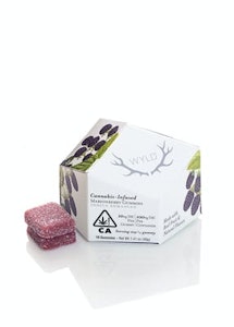 Wyld - MARIONBERRY 10PK GUMMY | 100MG INDICA