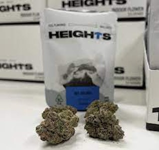 Heights - MT GELATO